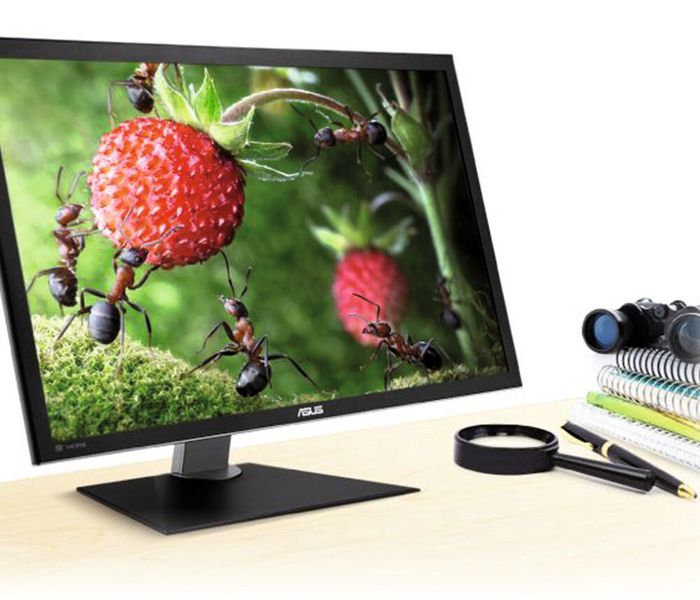 Fernglas und Lupe können beim Einsatz aktueller 4K-Monitore getrost beiseite gelegt werden. (Bild: Asus)