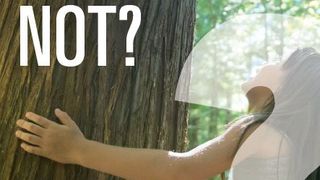 SAP_PLM_Foundation_EN ()