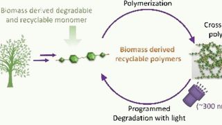 Photoabbaubare, rezyklierbare und erneuerbare quervernetzte Polymere aus Bio-Ressourcen sind ein vielversprechender Ansatz für nachhaltigere Kunststoffe. Der lichtgetriebene Abbau ist umweltverträglich und bietet den Vorteil einer räumlichen und zeitlichen Kontrolle. (Bild: Wiley-VCH)