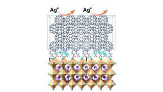 A fluorinated compound between the perovskite and the buckyball (C60) contact layer forms an almost monomolecular film that acts as a chemical protective barrier and increases the stability of the cell.  (Source: Guixiang Li/Nature Photonics 2025)