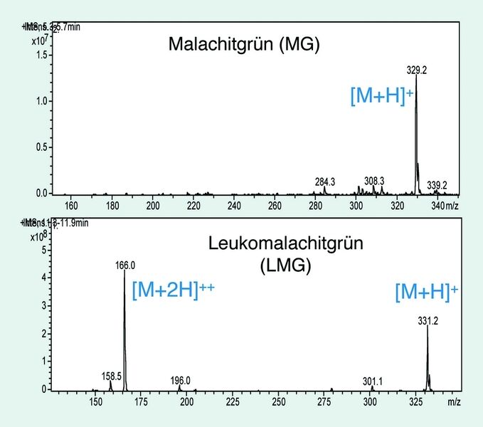 Abb. 3 Massenspektren von Malachitgrün und Leukomalachitgrün: LMG bildet zusätzlich zum einfach geladenen molekularen Ion [M-H]+ ein doppelt geladenes Ion [M-2H]++. (Archiv: Vogel Business Media)