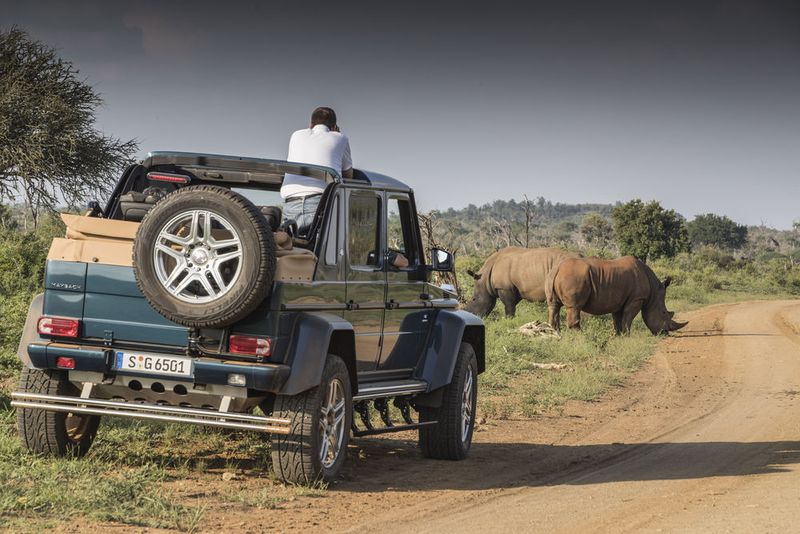 Der Landaulet ist ein perfektes Safari-Shuttle. (Daimler)
