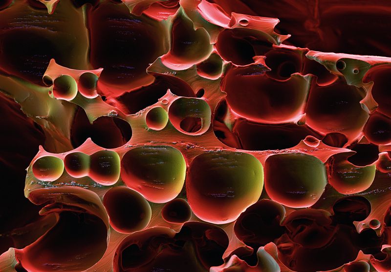 Forscher bei der BASF-Tochter Elastogran haben durch Zumischen von ein bis zehn Mikrometer großen Carbonyl-Eisenteilchen einen besonderen Polyurethan- (PU-)Schaum entwickelt. Mit dieser neuen Technologie lassen sich beispielsweise die Druckeigenschaften von Schuhsohlen gezielt einstellen. Die kleinen Eisenpartikel werden dem PU bei der Herstellung beigemischt, so lange dieses noch flüssig ist. Vergrößerung 140:1 (bei 12cm Bildbreite). (Bild: BASF)