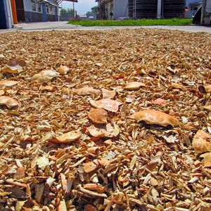 Tonnen von chitinhaltigen Fischereiabfällen müssen normalerweise teuer entsorgt werden. Das Projekt Chibio zeigt, dass es sich dabei jedoch um einen wertvollen Rohstoff für die Kunststoffbranche handelt.