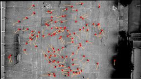 Taken from above, this annotated image shows a schoolground in Spain and the motions of teenage participants as indicated by the dots and lines. (Source: Echeverría-Huarte et al.)