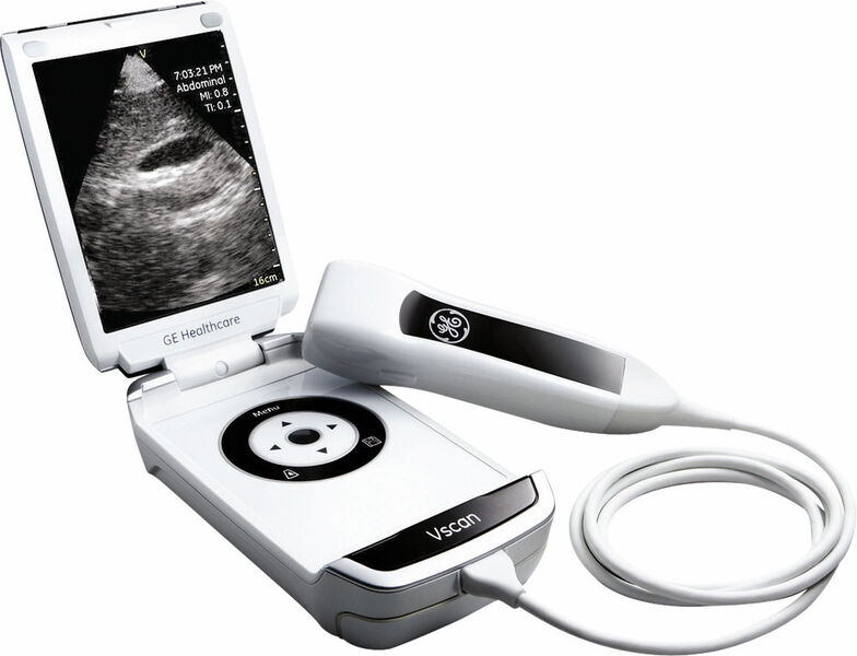 Das batteriebetriebene Ultraschallgerät Vscan von General Electric für den indischen Markt war so erfolgreich, dass es den Weg zurück in die Industrieländer fand (= Reverse Innovation).  (GE)