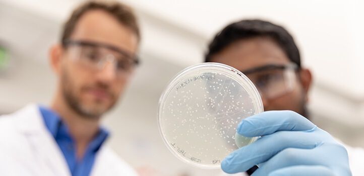 Stefan Arold (left) and Umar Hameed examine a plate of gut-dwelling bacteria. By studying them, they hope to better understand how they cause diarrheal disease. (Helmy H. Alsagaff / Kaust)