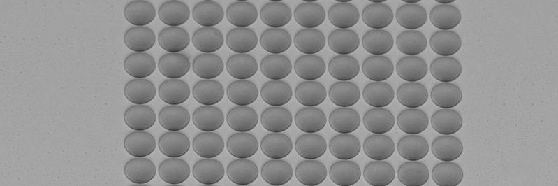 Sphärischer Mikrolinsen-Array(Bild:  Multiphoton Optics)