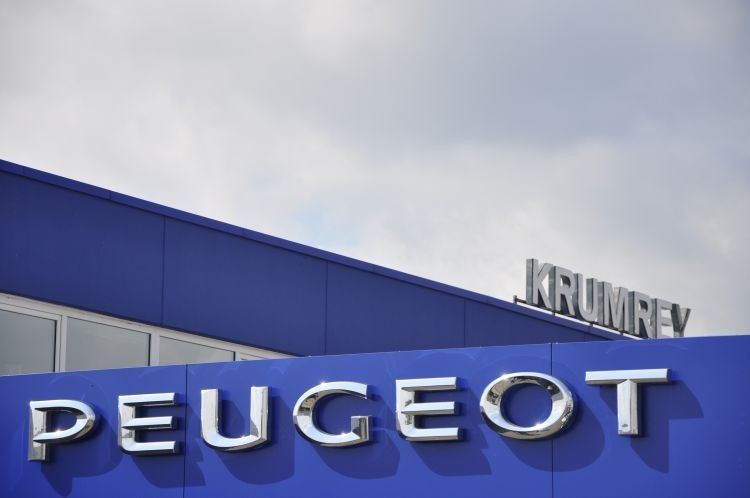 Mit der Marke Peugeot hat sich das Hildesheimer Autohaus eine hohe Bekanntheit in der Region erarbeitet. (Foto: Richter)
