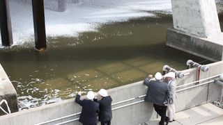 IMG_4770.jpg ()