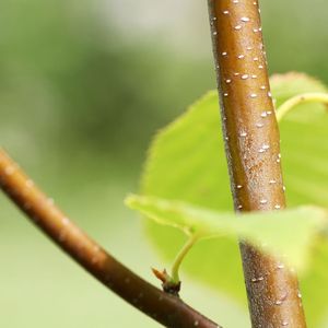 (Christian Urban, Universität Kiel)