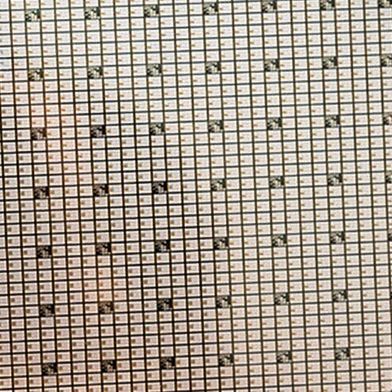 Wolfspeed will seinen Geschäftsbetrieb während der Restrukturierung aufrechterhalten. (Bild: Wolfspeed)