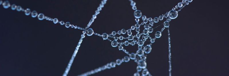 Die Smart Factory braucht ein intelligentes Systems, das sich aus den Fesseln von Komplexität und hohen Kosten befreit.(Bild:  gemeinfrei // Pexels)