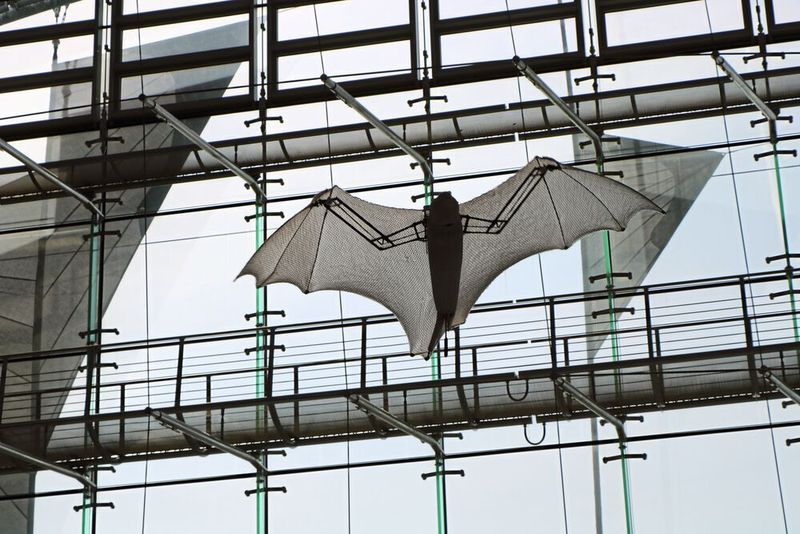 Für den Bionic Flying Fox haben die Entwickler aus dem Bionic Learning Network den Flughund unter die Lupe genommen und sein spezielles Flugverhalten technisch umgesetzt. Durch das Zusammenspiel der integrierten On-Board-Elektronik mit einem externen Motion-Tracking-System kann das ultraleichte Flugobjekt sich dabei teilautonom in einem abgesteckten Luftraum bewegen. (Ute Drescher/konstruktionspraxis)