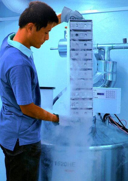 2	 Die Proben der CMES-Umweltprobenbank werden in flüssigem Stickstoff gefroren. (Archiv: Vogel Business Media)