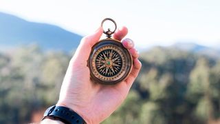 Ein Kompass zeigt im Gelände die Magnetische Nord-Richtung an. (gemeinfrei; von Pexels auf Pixabay)