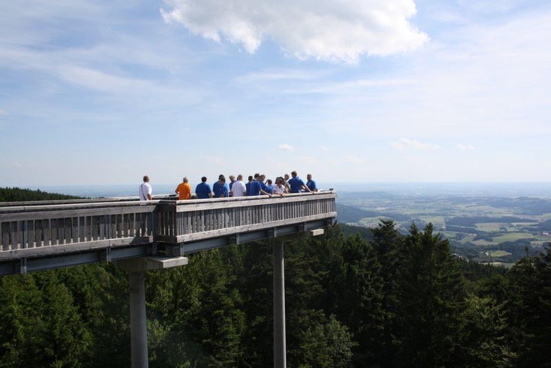 Apropos traumhaft: Die dritte Station  führte die Rallye-Teilnehmer auf den Waldwipfelweg. (Ecom Trading)