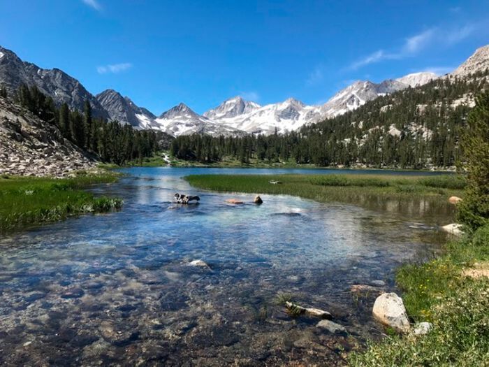 Sierra Nevada mountain stream sampled by the researchers. (Matthew Green/ UCR)