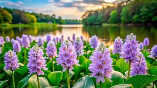 Pflanztöpfe aus Wasserhyazinthen sind zum einen marktfähig und kompostierbar, zum anderen kann so die invasive Pflanze eingedämmt werden.  (Bild: chaiwat - stock.adobe.com / KI-generiert)