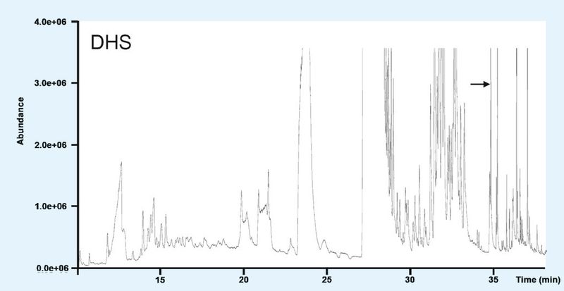 Abb. 2c: Chromatogramm der Analyse einer von einer parfümierten Puppe entnommenen Probe erhalten durch DHS. Die Pfeile in den Chromatogrammen weisen auf das Vorhandensein von Benzylbenzoat hin. (Bild: BfR)