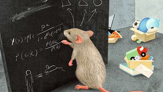 Mäuse bilden Kategorien, um ihre Welt zu vereinfachen. Nachdem sie dies gezeigt hatten, identifizierten die Forschenden Nervenzellen, die solche Kategorien speichern. (Bild: MPI für Neurobiologie / Kuhl)