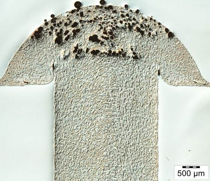 Nietkopf mit bdtronic Geometrie erzeugt mit dem BHS Hot Stamp Verfahren. Die Anbindung des geschmolzenen Materials an den Schaft ist sehr gut und nahezu vollständig. Die überlage Heizzeit und hohe Prozesstemperatur erzeugen allerdings bereits Zersetzungen des Materials, erkennbar an der Lunkerbildung. Dennoch erreicht die kürzere bdtronic Geometrie eine deutlich höhere Abzugskraft von etwa 600 N.  (bdtronic)