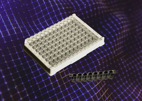 Manufactured from high-quality crystal polystyrene - these new automation-ready plates are available in a choice of ANSI / SLAS standard (96-well and breakable 8-well strip) formats. (Source:  Porvair Sciences)
