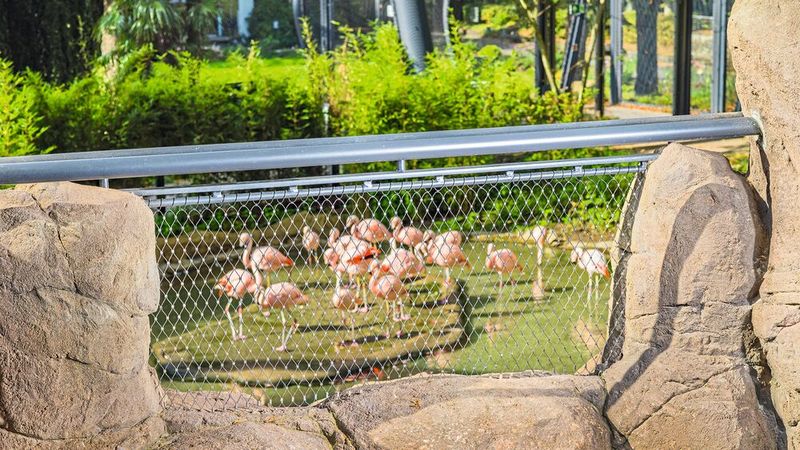 Geländer und Handläufe aus nichtrostendem Stahl unterstreichen das ansprechende Ambiente der Tierparks. (Bild: Carl Stahl ARC)
