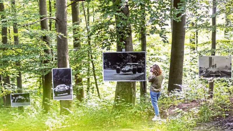 Der Leitz-Park in Wetzlar präsentiert im angrenzenden Waldgebiet mit der Fotoausstellung „Grüne Hölle Nürburgring" des Fotografen Hans Peter Seufert ein neues Outdoor-Highlight.(Bild:  H. P. Seufert/AMS)