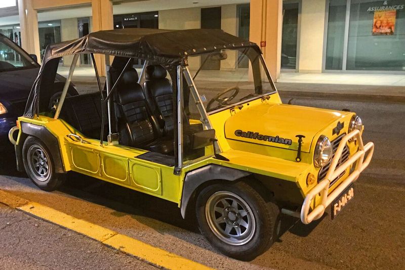 An der Cote d'Azur hatte der Moke früher seine natürliche Heimat. Inzwischen ist der dort selten geworden, aber nicht ausgestorben. (Bild: Grimm/»kfz-betrieb«)