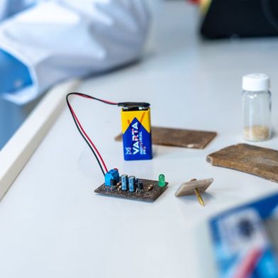 Jetzt gibt es kompostierbare Leiterplatten aus Pilzmyzel, um in Zukunft vielleicht Berge von Elektroschrott zu vermeiden. Hier ist eine solche im Funktionstest. Hat sie ausgedient, kann sie entsorgt werden, wobei die Elektronikkomponenten auf ihr, keinen Schaden nehmen würden ... (Bild: TU Bergakademie Freiberg / A. Hiekel)