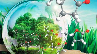 Chemiker der Universität Regensburg haben das vielversprechende, „grüne“ Lösungsmittel „γ-Valerolacton“ (GVL) genauer untersucht.  (Florian Kerkel, Prof. Dr. Werner Kunz)