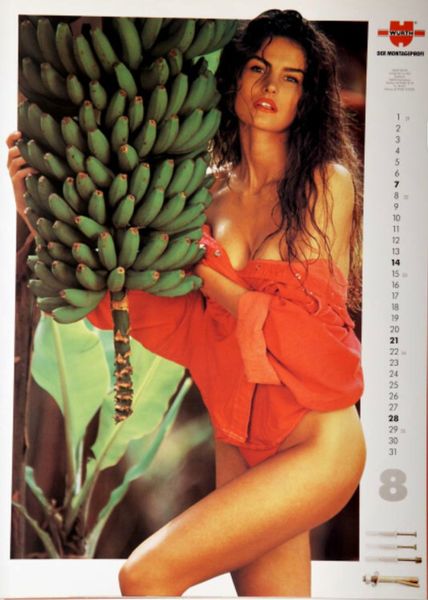 Aus dem Würth-Kalender 1994. (Bild: Würth)