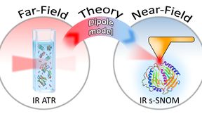 Con el fin de tender un puente entre la espectroscopia infrarroja convencional de campo lejano y la de campo cercano a escala nanométrica, el equipo combinó los datos experimentales con el modelo teórico de dipolo finito, que describe lo que ocurre a escala nanométrica. (Imagen:HZB)
