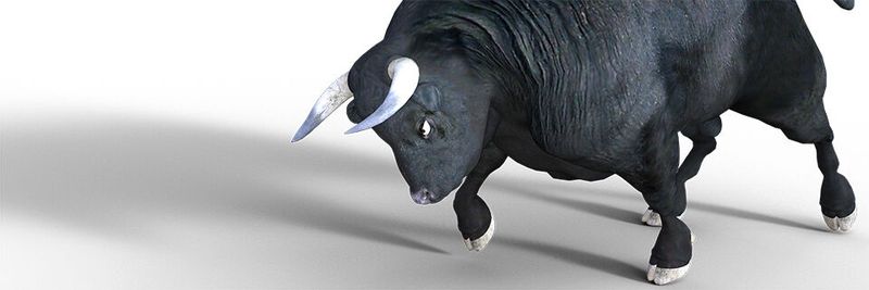 Sich als ITK-Dienstleister zu etablieren ist wie, einen Bullen zu reiten – ein Auf und Ab und nicht immer gleich erfolgreich.(Bild:  gemeinfrei© Lutz Peter /  Pixabay)