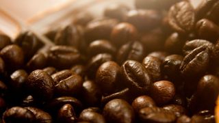 JavaBeans sind wiederverwendbare und meist leichtgewichtige Software-Komponenten, die innerhalb von Java zum Einsatz kommen. (Bild: PDPics)