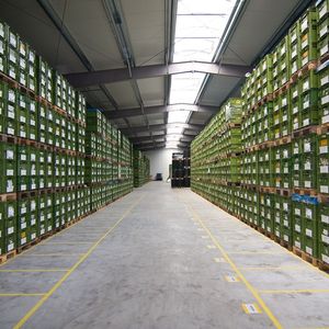 Hallenneubau der FWB Kunststofftechnik am Standort Pirmasens.