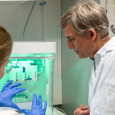 Ein Team der TU München hat DNA-Origami-Schalter entwickelt, die sich per elektrischem Feld in Millisekunden umschalten lassen. (Bild: Astrid Eckert / TUM)