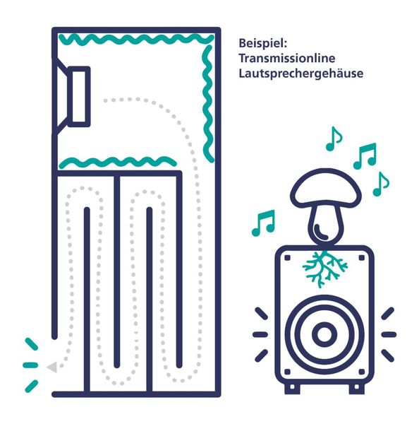 Schematische Darstellung der komplexen Geometrie einer Transmissionline bei einem Lautsprecher. Herkömmliche Typen brauchen meterlange, verschlungene Rohre, um zu funktionieren. Mit gedrucktem Pilzmyzel erreicht man das Gleiche viel günstiger. (Bild: Fraunhofer IWU)