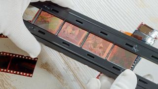 Für die Archivierung von Negativen oder Dias sind neben der passenden Hard- und Software auch Sorgfalt und Expertise notwendig. (© Philipimage - stock.adobe.com)