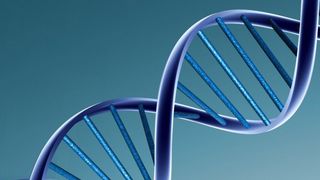 Jede Körperzelle eines Organismus enthält im Erbmolekül DNA ein identisches genetisches Inventar. (Bild: Quelle: forbes.com)