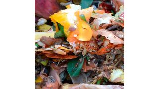 Das Ziel von Cafipla ist die Entwicklung eines integrierten Vorbehandlungsverfahrens zur Umwandlung heterogener organischer Materialien in Bausteine für die biobasierte Wirtschaft.  (gemeinfrei)