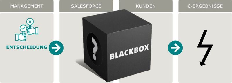 Abbildung 1: Die Blackbox in der Sales Profit Chain (SPC)
