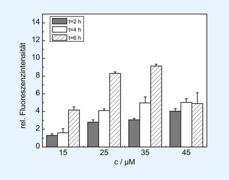 Abb. 2: Messung der Fluoreszenzintensität der modifizierten HaCaT-Zellen bei unterschiedlichen Inkubationszeiten (2h, 4h, 6h) und in Abhängigkeit von der CdCl2-Konzentration (Bild: Ernst-Abbe-Hochschule Jena)