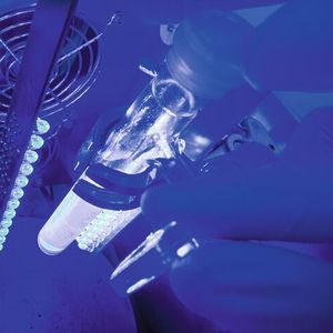 Bestrahlungsapparatur im Institut für Anorganische Chemie I: Hier wurden Messungen für die aktuelle Publikation durchgeführt (Heiko Grandel)