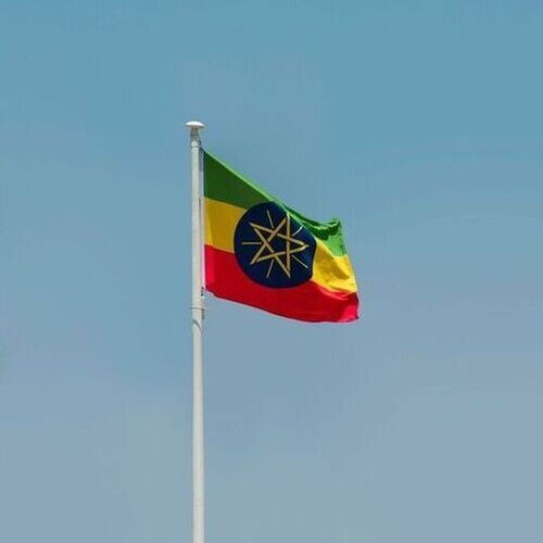 Dangote Group has awarded Técnicas Reunidas the contract to supply two hydrogen production reformers for the new ammonia and urea fertilizer complex it is developing in Gode, Ethiopia.(Source:  Unsplash)