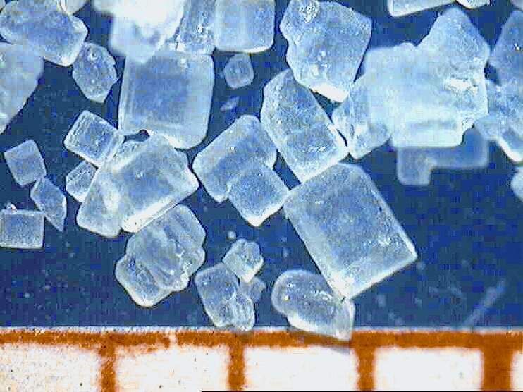 Typische Zuckerkristalle  (Bild: Coperion Waeschle)