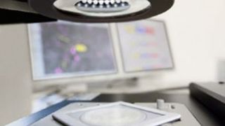 Die mikroskopische Analyse von partikulären Verunreinigungen ist eine der bewährten Analyse-Verfahren. (Clean Controlling Medical)