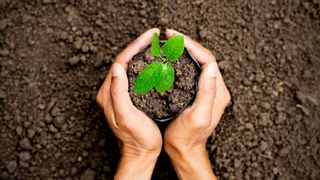 shutterstock-548138944 (Quelle: kram-9/shutterstock)