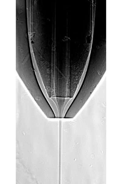 Das Röntgenbild der neuartigen Düse während des Betriebs zeigt den inneren Proteinstrom, der von Ethanol umschlossen ist. (Dominik Oberthür, DESY)